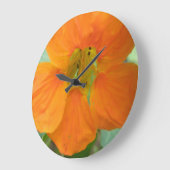 Oranje Nasturtiumventiel Grote Klok (Hoek)