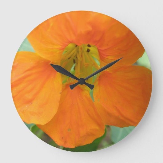 Oranje Nasturtiumventiel Grote Klok (Voorkant)