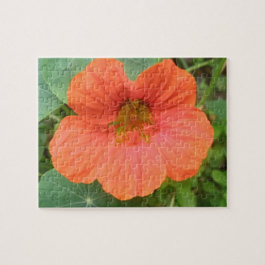Oranje Nasturtiumventiel Puzzle Legpuzzel (Horizontaal)