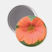 Oranje Nasturtiumventilator Magnet (Voorkant / Achterkant)