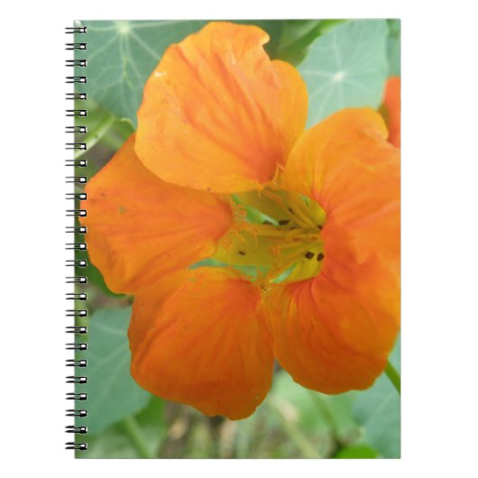 Oranje Nasturtiumventilator Notitieboek (Voorkant)