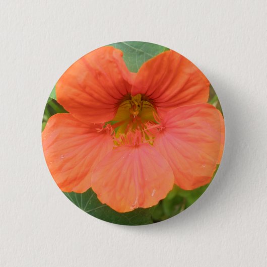 Oranje NasturtiumventilatorButton Ronde Button 5,7 Cm (Voorkant)