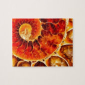 Oranje Nautilus Legpuzzel (Horizontaal)