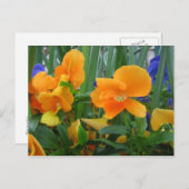 Oranje object briefkaart (Voorkant / Achterkant)