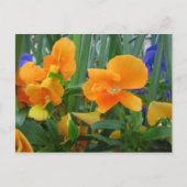 Oranje object briefkaart (Voorkant)