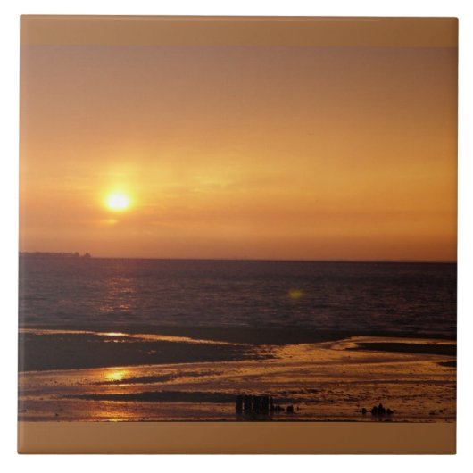 Oranje oceaanschildpad tegeltje (Voorkant)