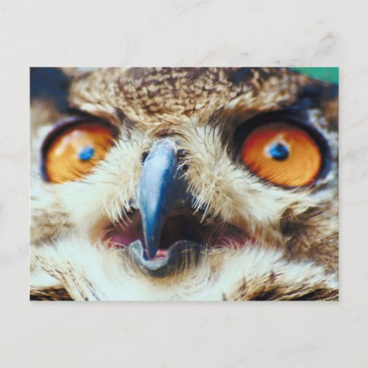 Oranje oeogollen briefkaart (Voorkant)