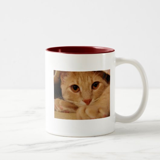 Oranje ogen tweekleurige koffiemok (Rechts)