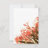 Oranje Oleander Flowers Floral Script Weduwschap Bedankkaart (Achterkant)