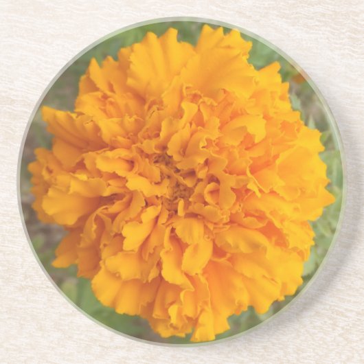 Oranje onderzetter (Voorkant)