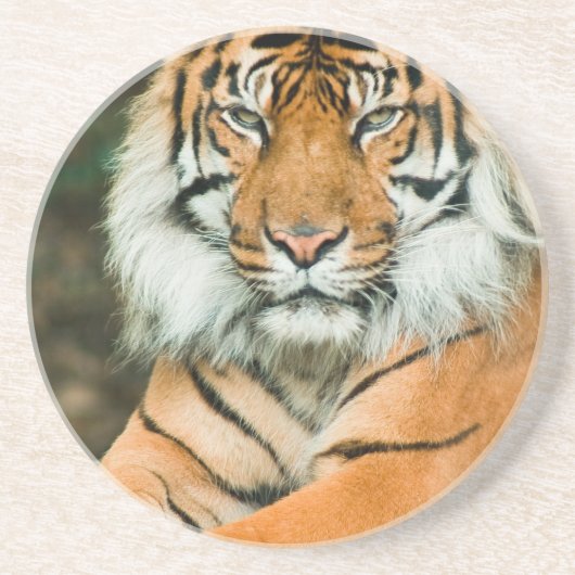 Oranje Onderzetter Tiger (Voorkant)