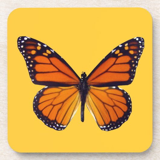 Oranje Onderzetters voor de vlinder (Voorkant)