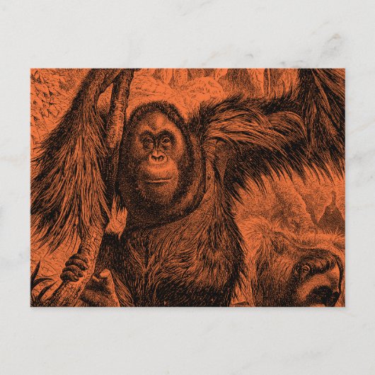  Oranje Orangutan Illustratie - aap Briefkaart (Voorkant)