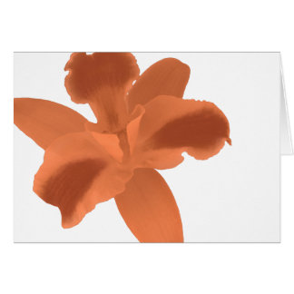 Oranje Orchid Card