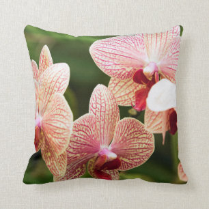 Oranje Orchid Hybrid, Zuid-Afrika Kussen