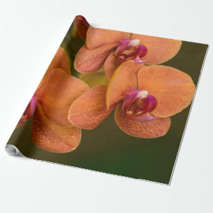 Oranje orchidebloem cadeaupapier