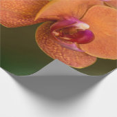 Oranje orchidebloem cadeaupapier (Hoek)