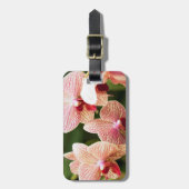 Oranje Orchidee Hybride, Zuid-Afrika Bagagelabel (Voorkant verticaal)