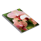 Oranje Orchidee Hybride, Zuid-Afrika Notitieboek (Rechterzijde)