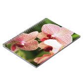 Oranje Orchidee Hybride, Zuid-Afrika Notitieboek (Linkerzijde)