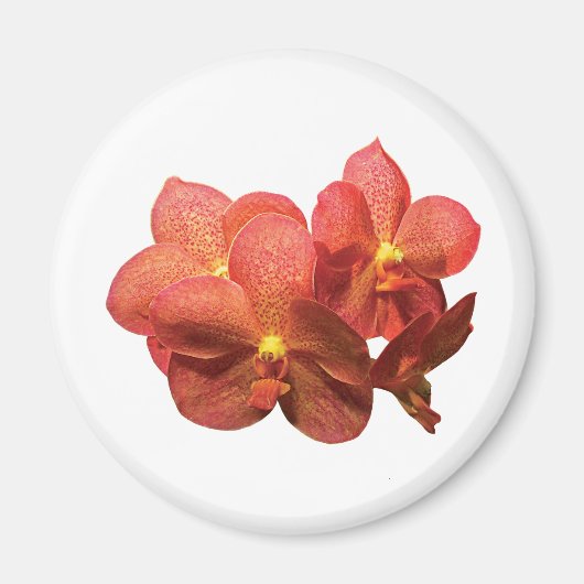 Oranje orchideeën magneet (Voorkant)
