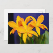 Oranje Orchideeën op Paarse achtergrond Briefkaart (Voorkant / Achterkant)