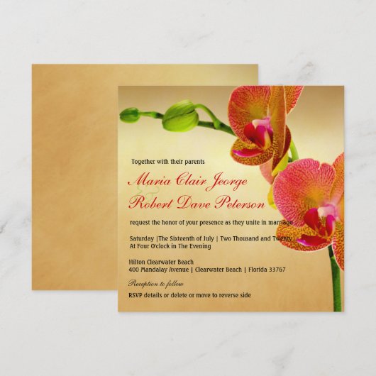 Oranje Orchideeën Tropische Strand Bestemming Brui Kaart (Voorkant / Achterkant)