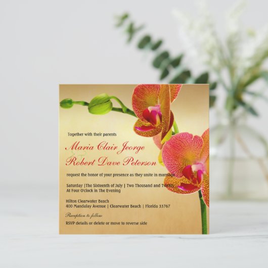 Oranje Orchideeën Tropische Strand Bestemming Brui Kaart (Staand voorkant)