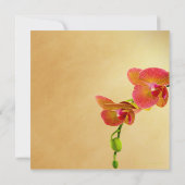 Oranje Orchideeën Verjaardagsfeestuitnodiging Kaart (Achterkant)