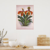  Oranje  Orchids-Cypripedium Villosum Poster (Keuken)
