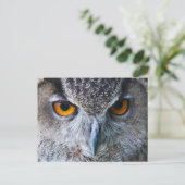 Oranje Owl Eyes fotografie Briefkaart (Staand voorkant)
