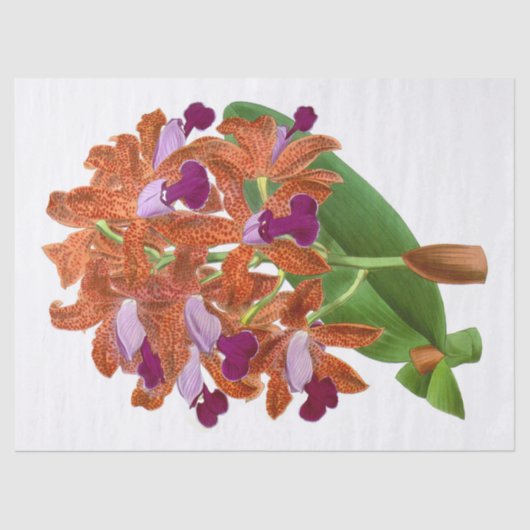  Oranje Paars-orchidebladerpapier Tissuepapier (Voorkant)