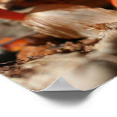 Oranje paddenstoel familie spiegel Abstract Poster (Hoek)