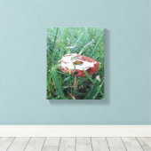 Oranje paddenstoel met regen op de top canvas afdruk (Insitu (Houten vloer))