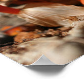 Oranje paddenstoel Natuur Poster (Hoek)