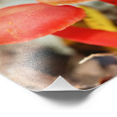 Oranje paddenstoel paar Natuur Foto Afdruk (Hoek)