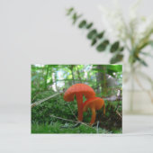 Oranje paddenstoelen briefkaart (Staand voorkant)