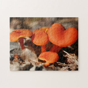 Oranje Paddenstoelen Familie Natuur Legpuzzel