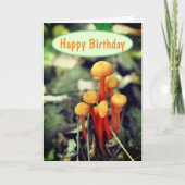 Oranje paddenstoelen Natuur Birthday Kaart (Voorkant)