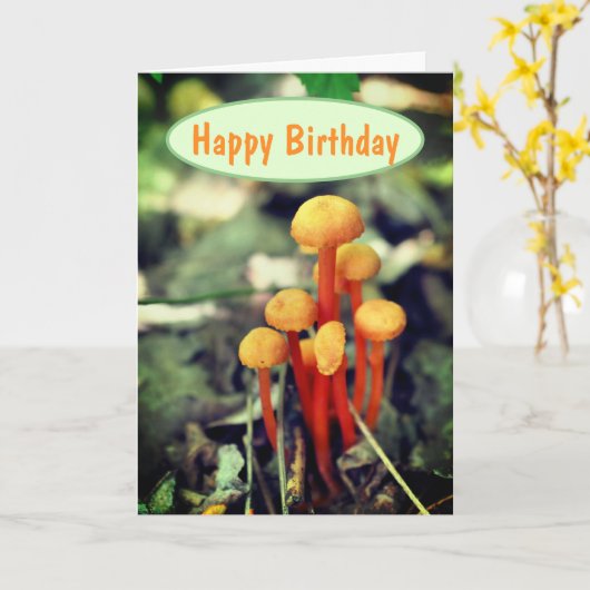 Oranje paddenstoelen Natuur Birthday Kaart (Gele Bloem)