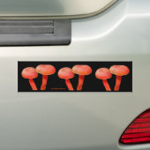 Oranje paddenstoelen Natuur Foto Bumpersticker (Op auto)
