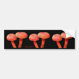 Oranje paddenstoelen Natuur Foto Bumpersticker