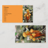 Oranje paddenstoelen Natuur Fotografie Visitekaart Visitekaartje (Voorkant / Achterkant)