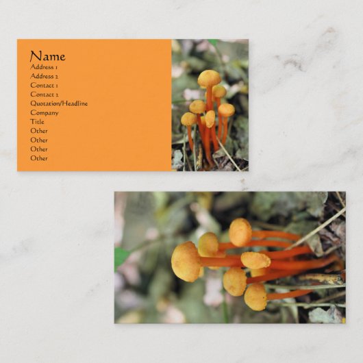 Oranje paddenstoelen Natuur Fotografie Visitekaart Visitekaartje (Voorkant / Achterkant)