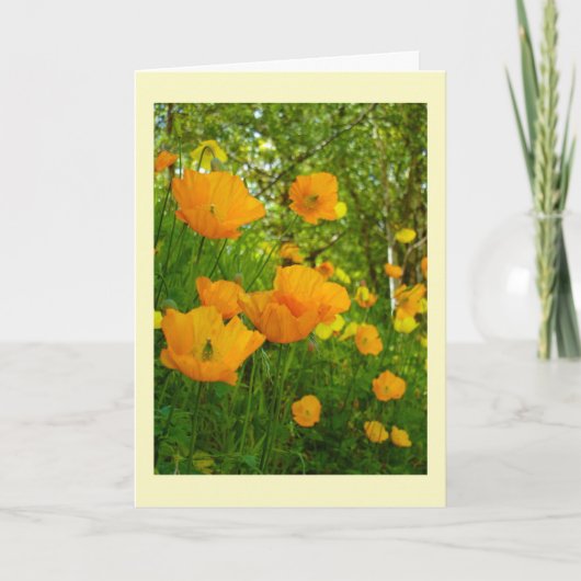 Oranje papaver Birthday Card Kaart (Voorkant)