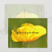 Oranje papaver briefkaart (Voorkant / Achterkant)