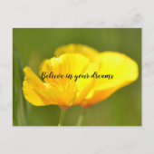 Oranje papaver briefkaart (Voorkant)