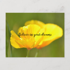 Oranje papaver briefkaart