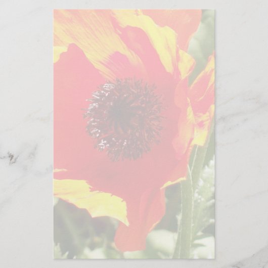 Oranje papaver briefpapier (Voorkant)