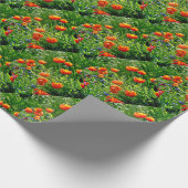 oranje papaver cadeaupapier (Hoek)